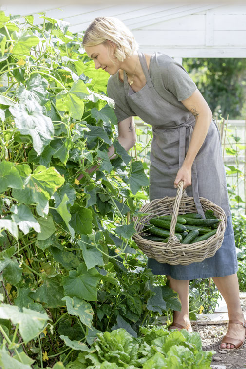 Frau in Leinen-Schürze erntet Gurken im Hochbeet